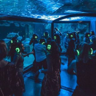 Silent Disco At Sydney Aquarium