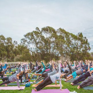 Yoga Social Santa Monica